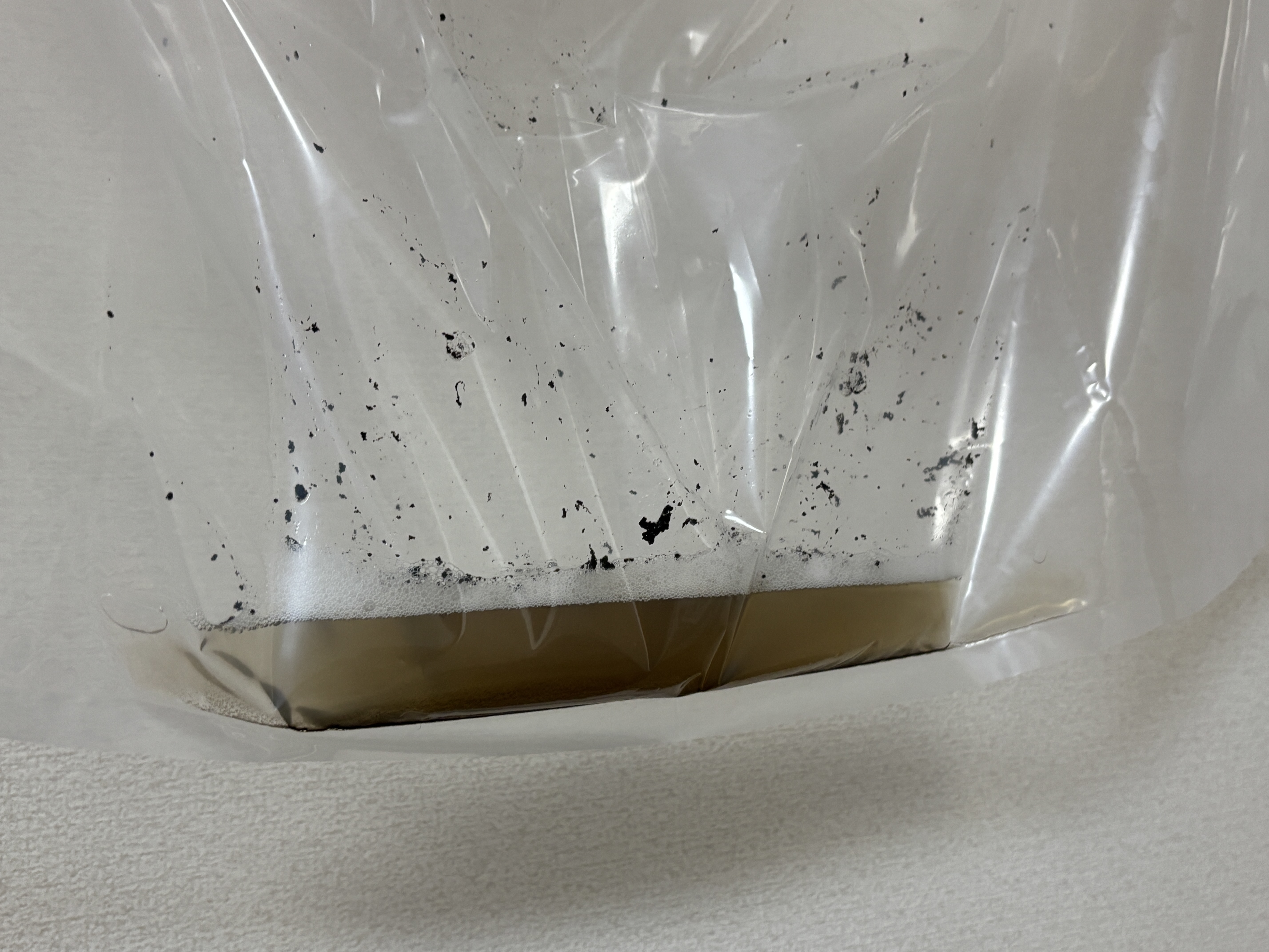 洗浄剤後の汚れ.JPG