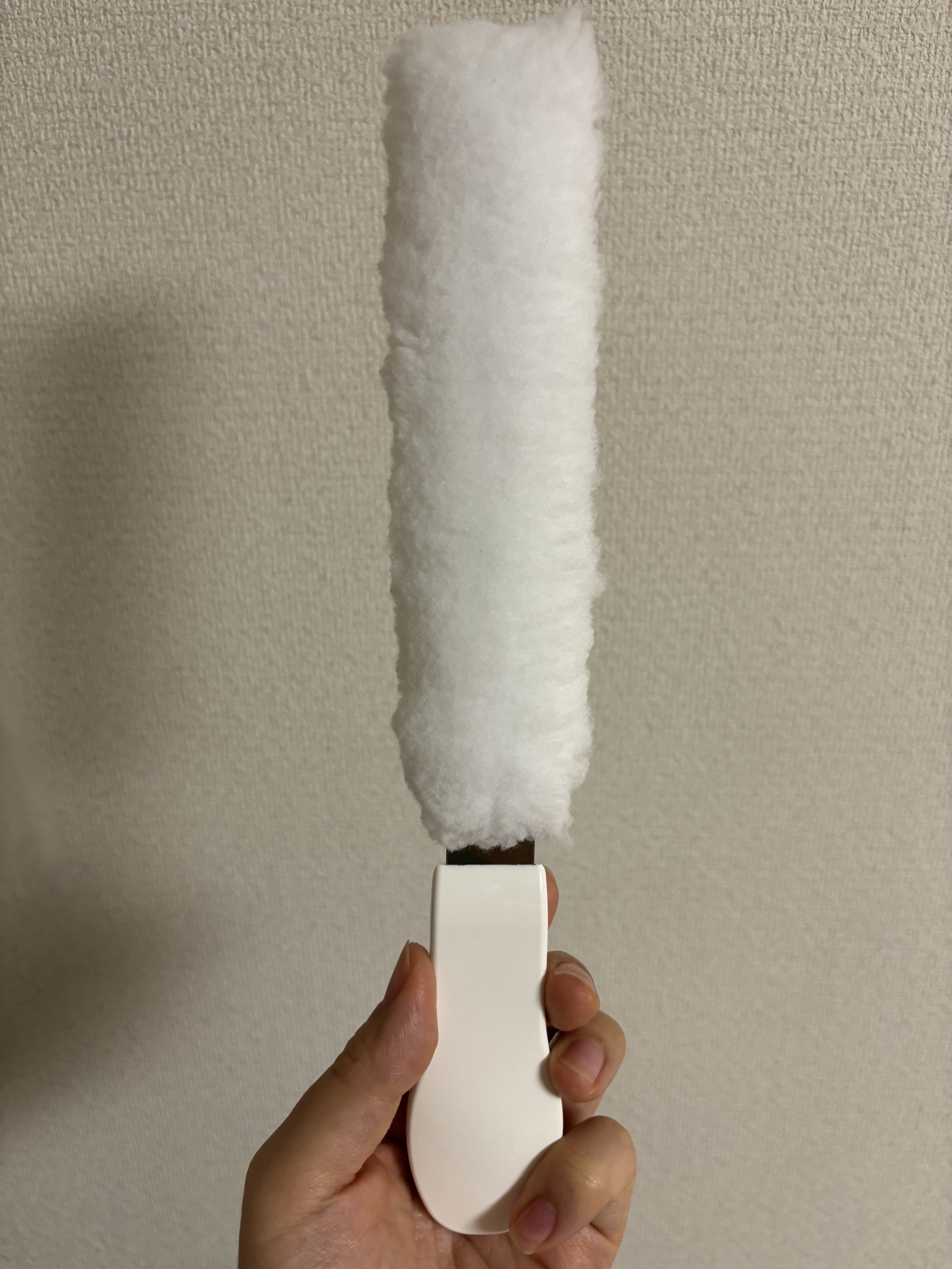 ファンファン.JPG