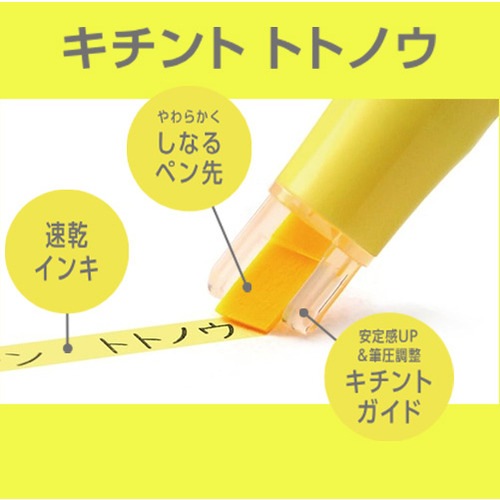 キチントガイド.jpg