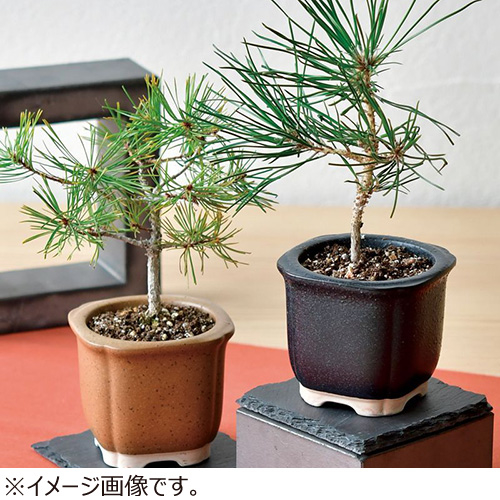 画像③.jpg