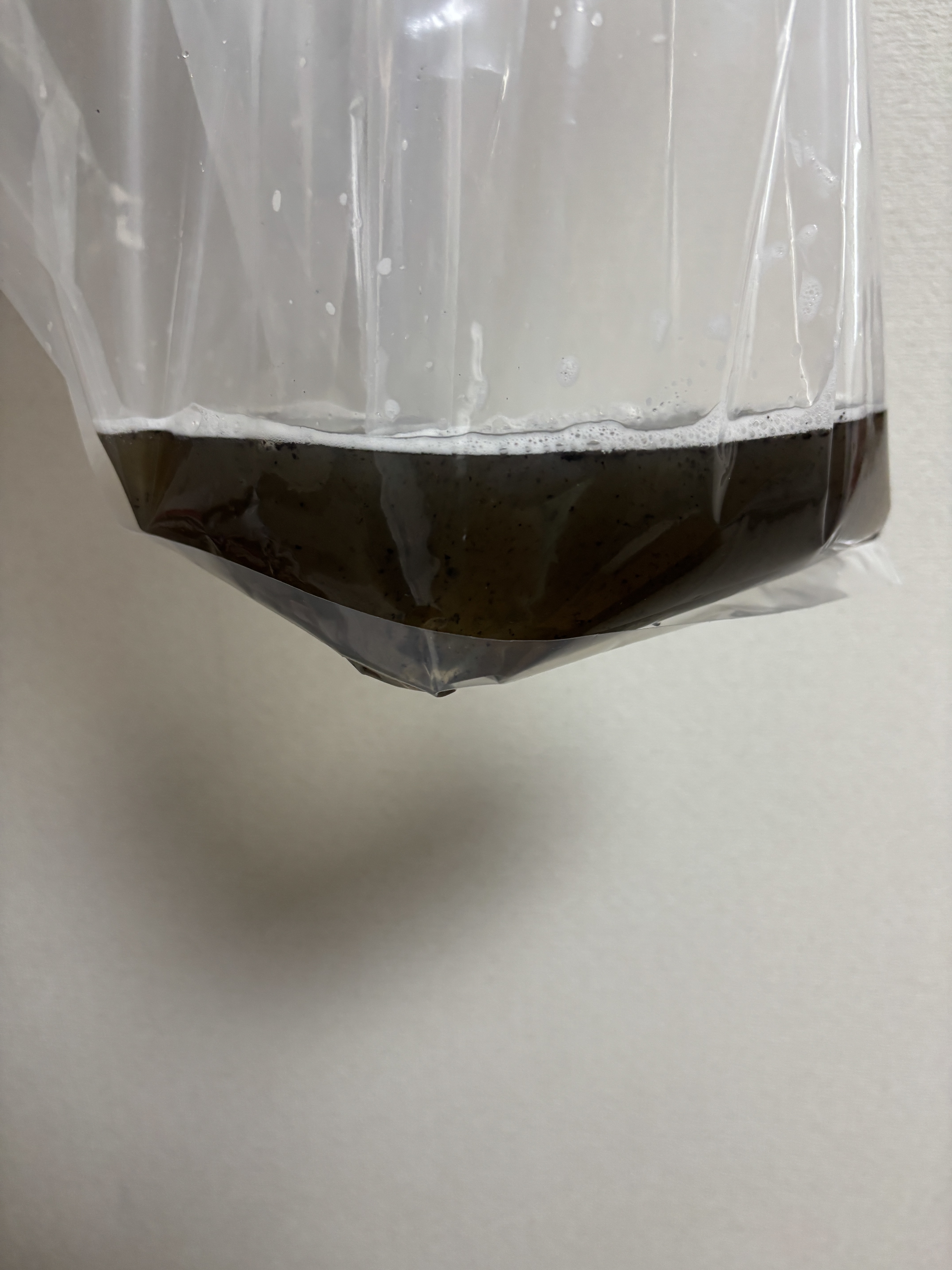すすぎ剤後の汚れ.JPG
