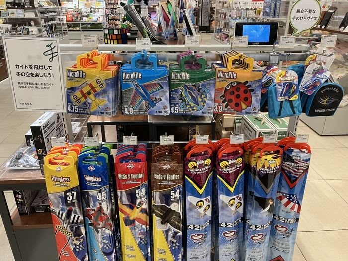 マイクロエース　デッドストック？　まとめ売り^_^ Webike | WOODSTOCK ウッドストック バックステップキット ZZR1400 06