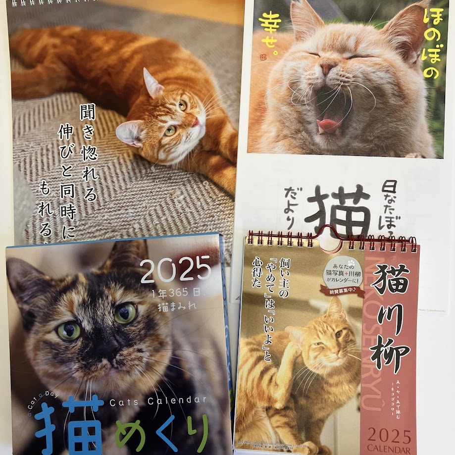 【熊本店】猫カレンダーに癒される！