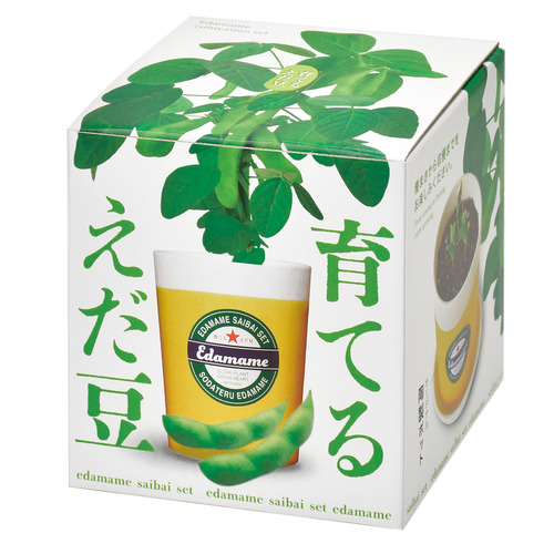 画像⑤.jpg